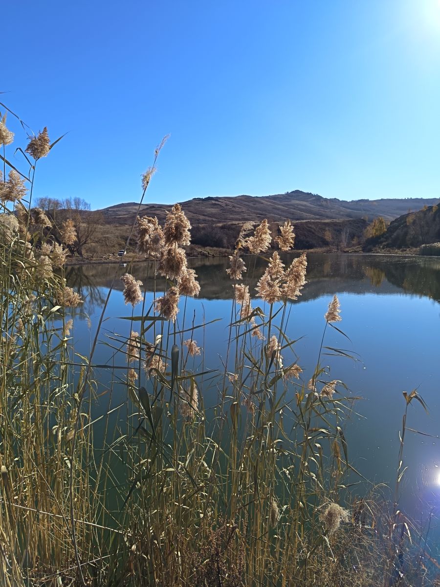 Pronósticos del tiempo con hermosas fotos de ЮлЯШа