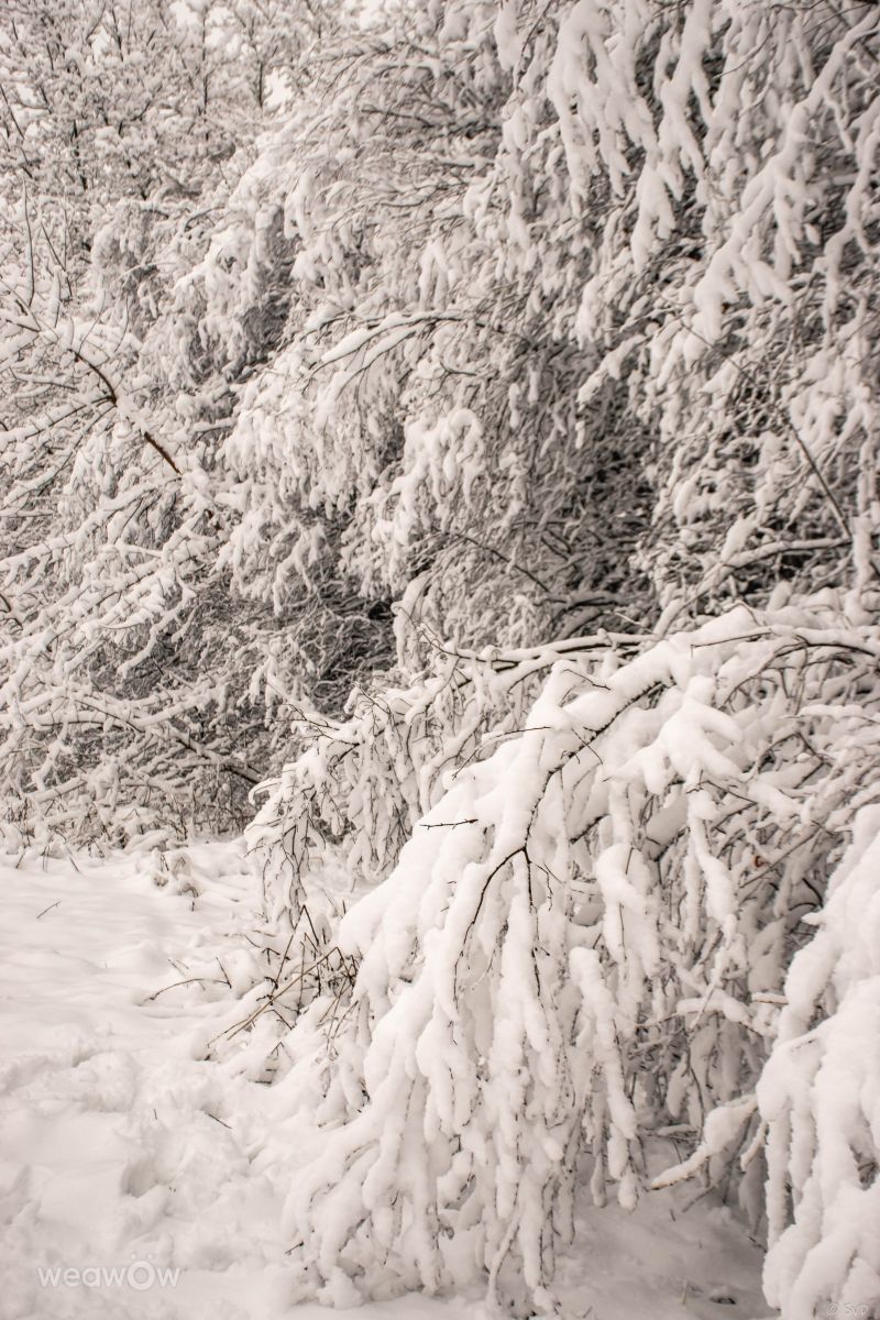 Previsões do tempo com lindas fotos de GrgaP