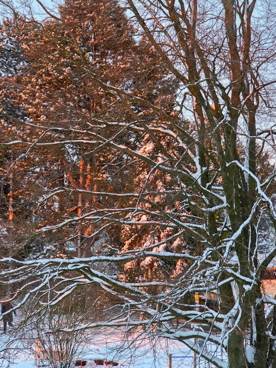 天气预报，带Seni精美的照片