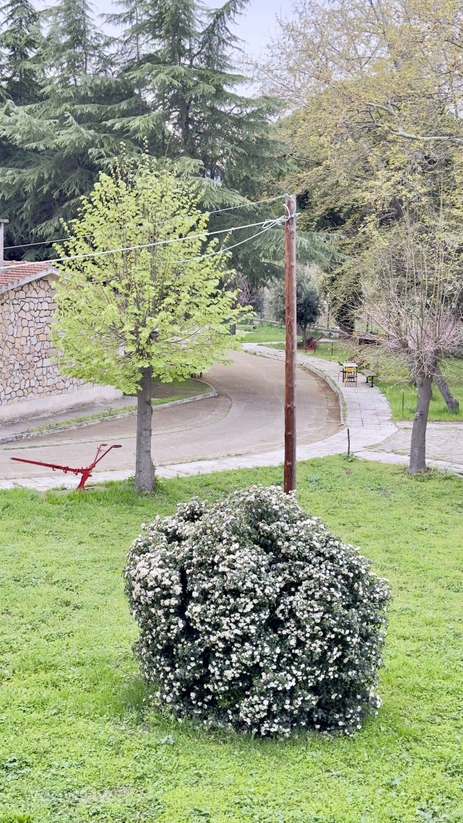 Фотографии Погоды в Комотини. Прогнозы погоды с чудесными фотографиями, сделанными Romios