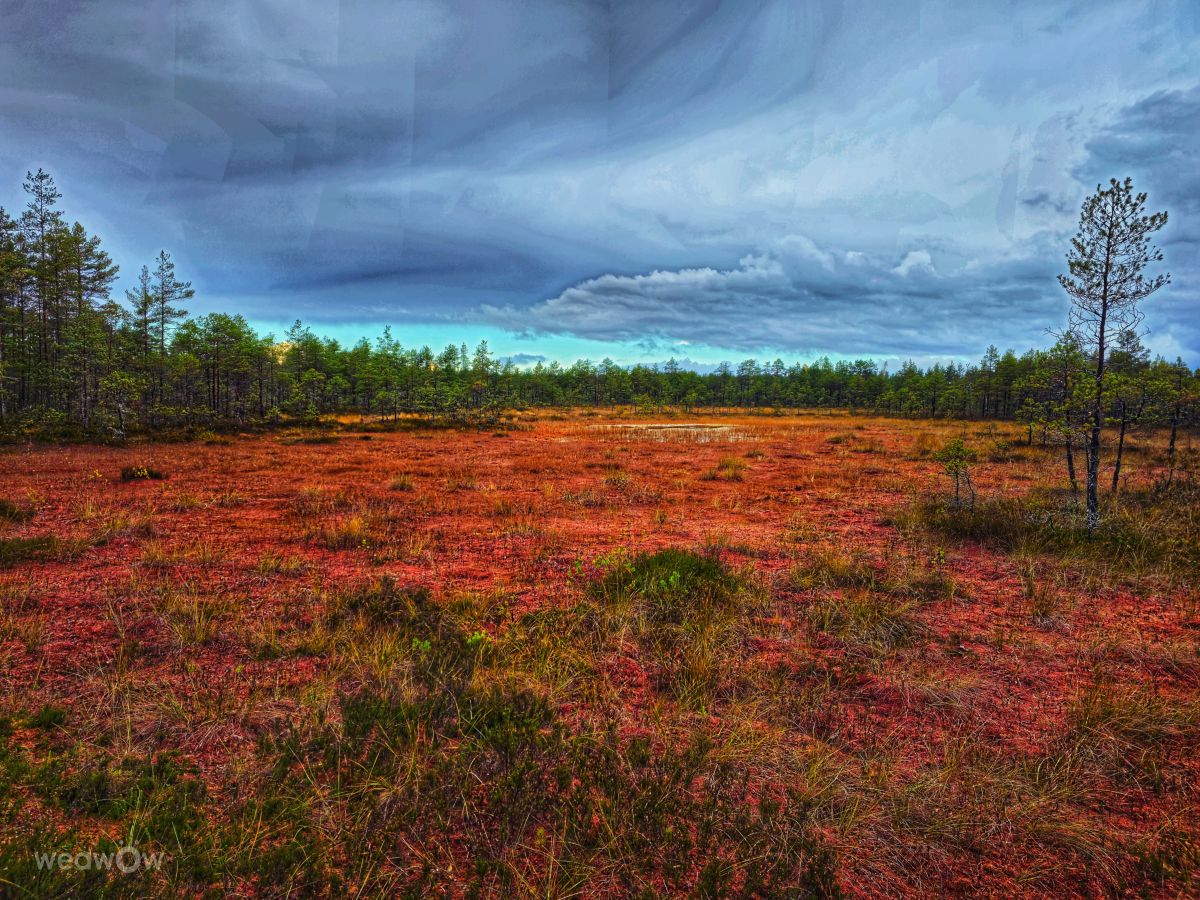 Fotos do tempo em Raplamaa. Previsões do tempo com lindas fotos de Priit