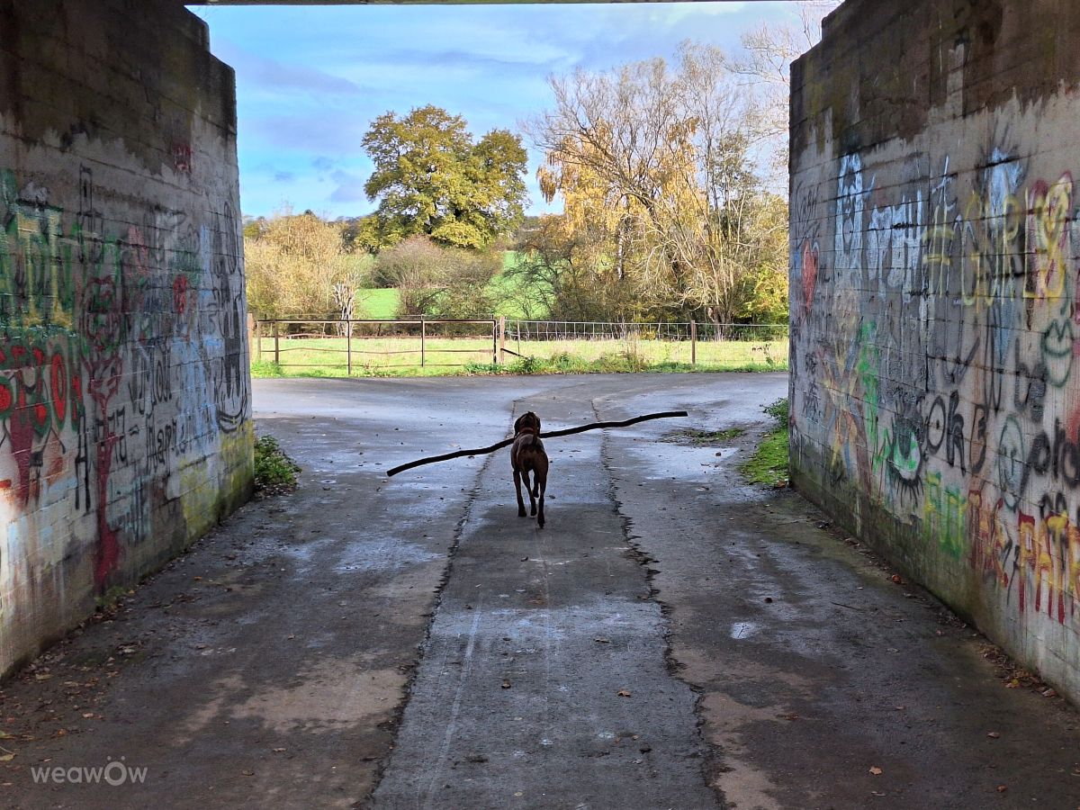 Weather Photos in Luxembourg. Weather forecasts with beautiful photos by lremmy