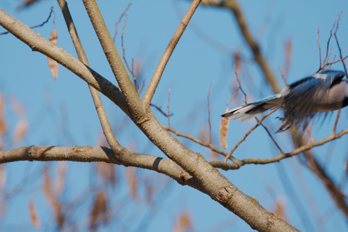 Фотографии Погоды в Hanover. Прогнозы погоды с чудесными фотографиями, сделанными krantzjh