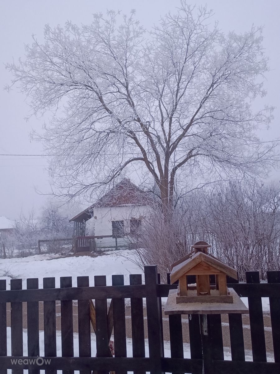 Weather Photos in Jász-Nagykun-Szolnok. Weather forecasts with beautiful photos by Rissie12