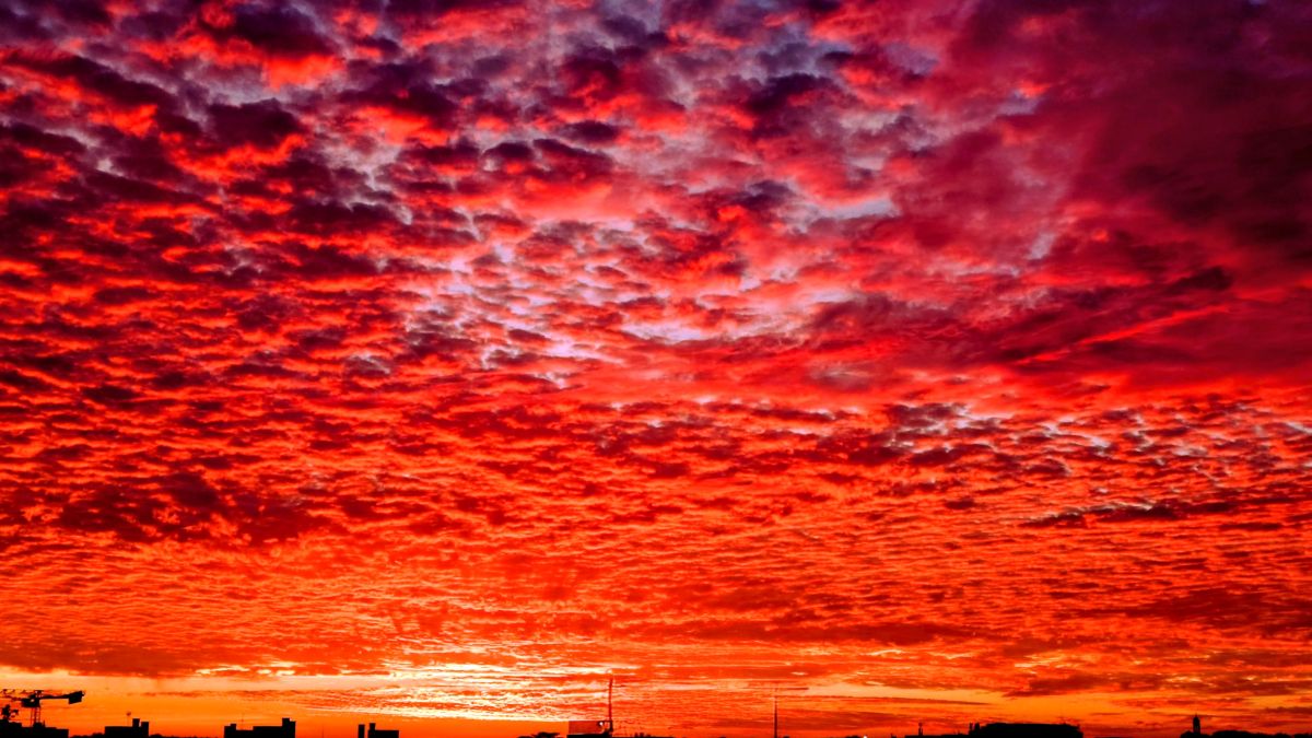 摄影师 Hecate，昂热的天气照片 - Weawow