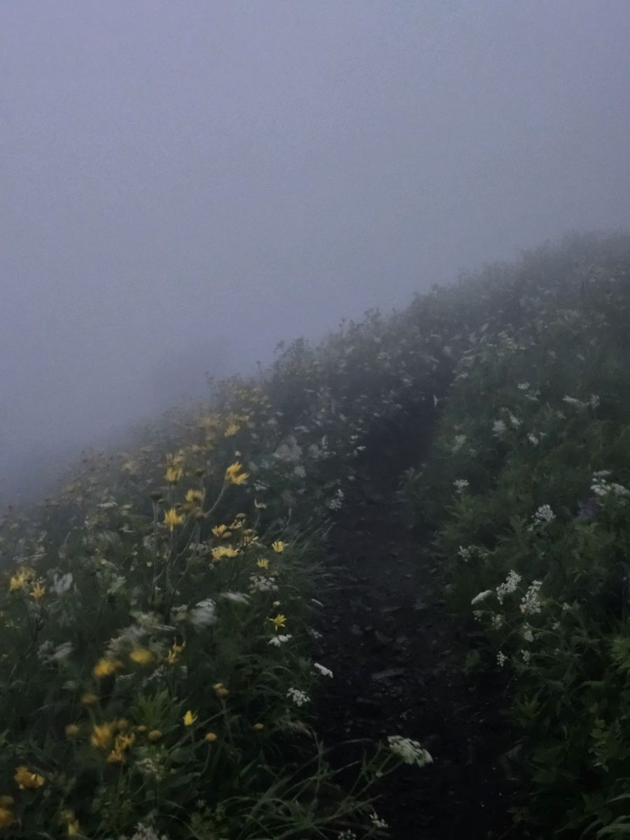Stavropol Krayの天気写真. Michael_2111の美しい写真による天気予報