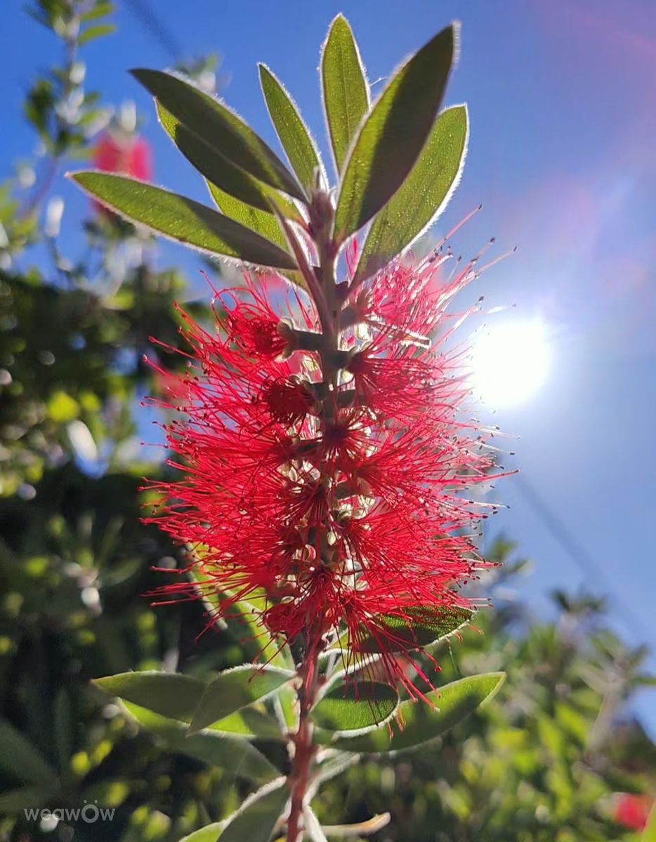 Fotos sobre el clima en Mália. Pronósticos del tiempo con hermosas fotos de RoDi-zign