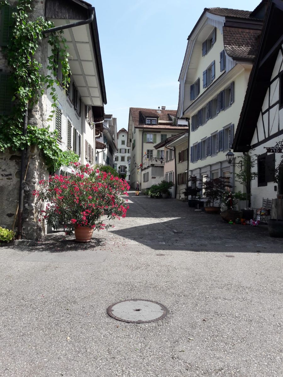Fotos sobre el clima en Schaffhausen. Pronósticos del tiempo con hermosas fotos de aida-khaldi