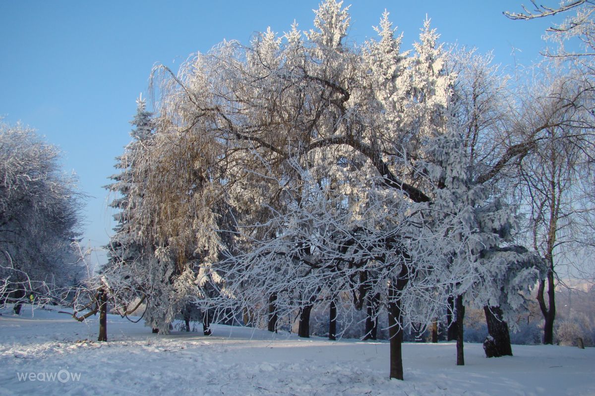 Weather Photos in Тернопіль. Weather forecasts with beautiful photos by Дмитро_Кривий-1