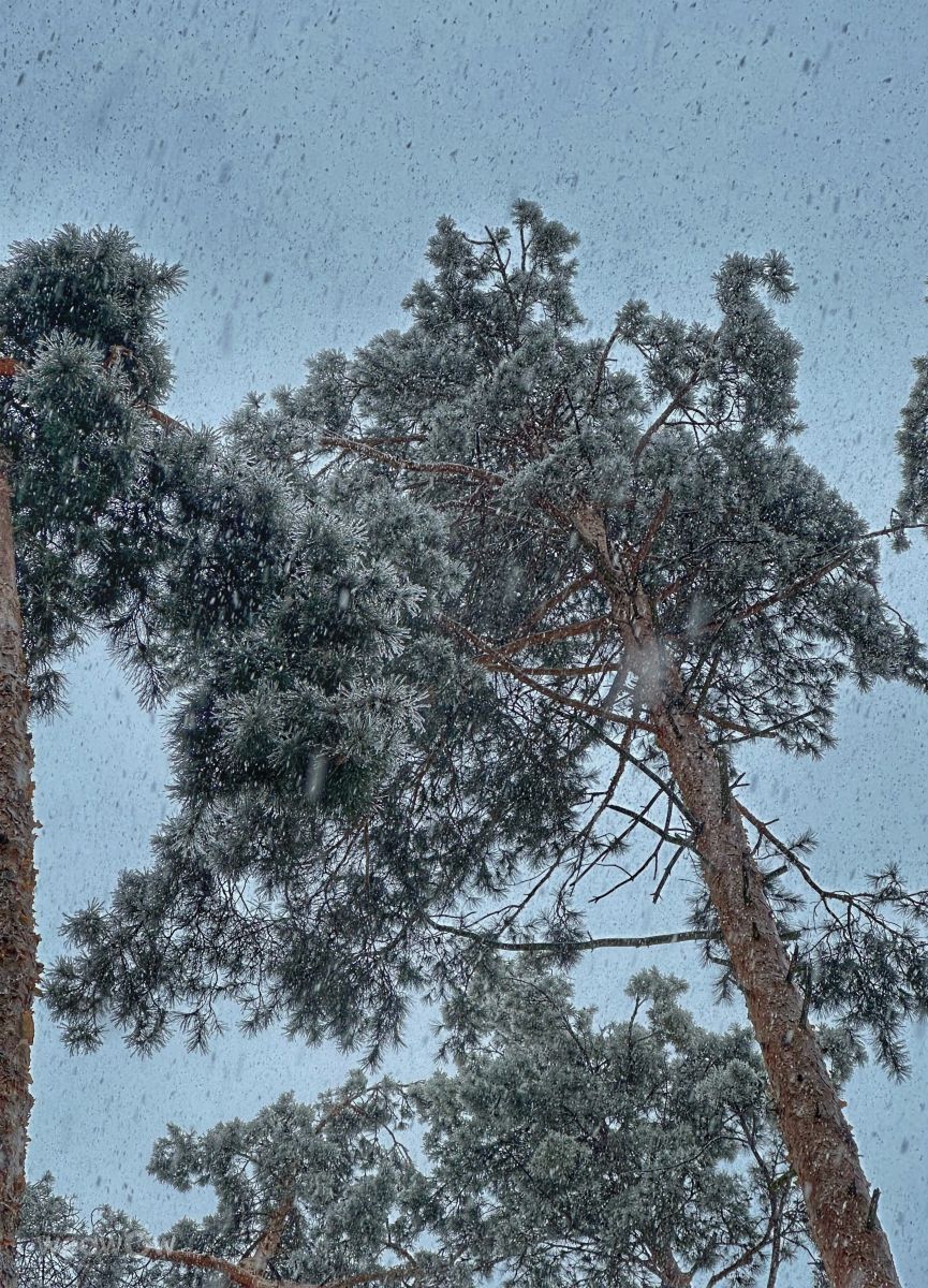 Fotos do tempo em Irpin. Previsões do tempo com lindas fotos de Інна