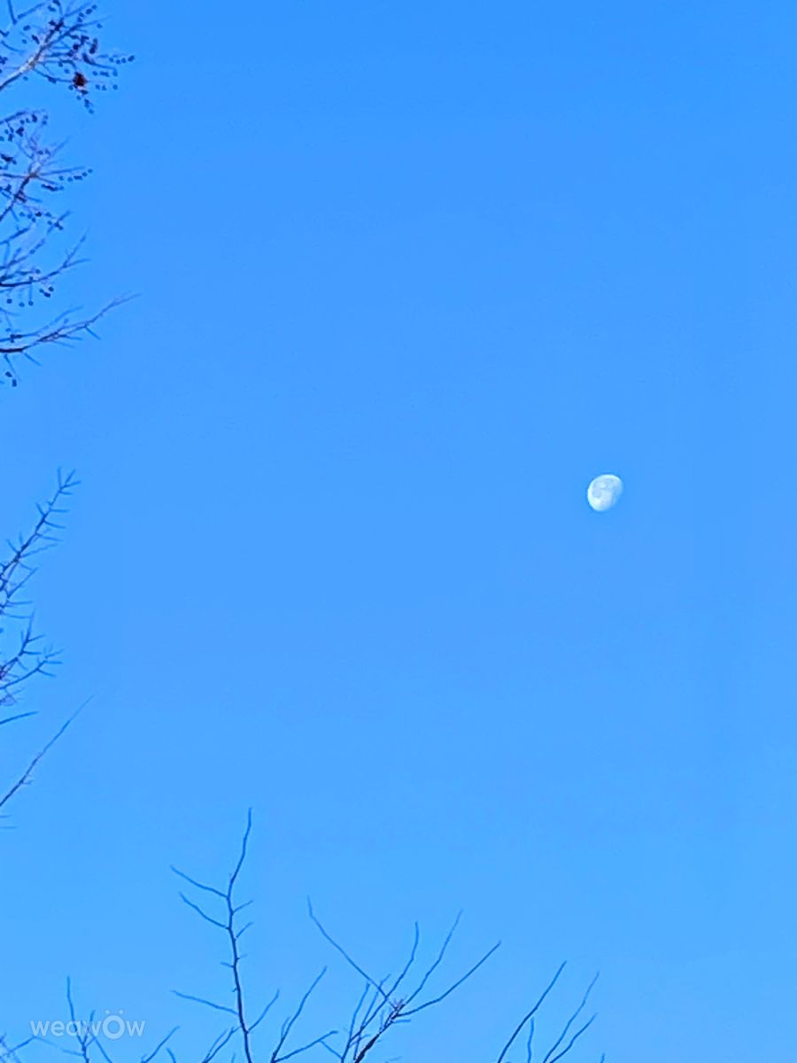 Фотографии Погоды в le Plateau. Прогнозы погоды с чудесными фотографиями, сделанными Lulu5523