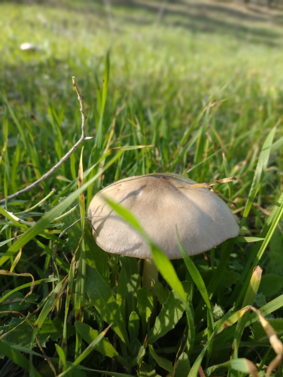 Weather Photos in Grenada. Weather forecasts with beautiful photos by Paracelso