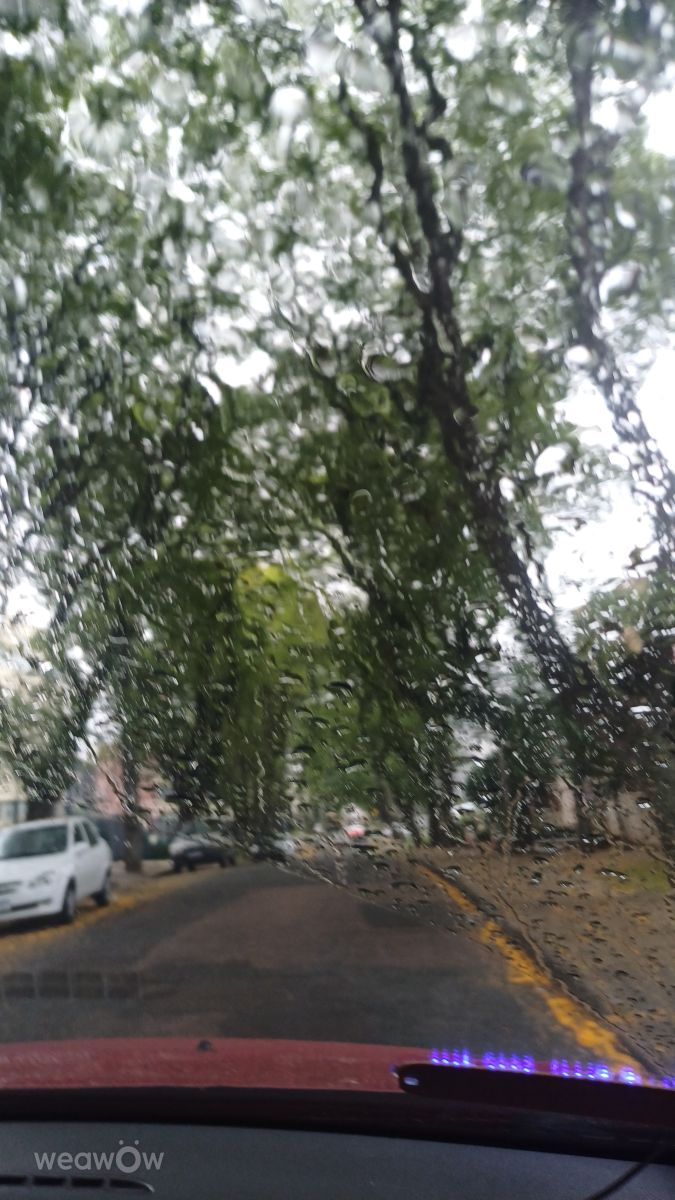 Weather Photos in Curitiba. Weather forecasts with beautiful photos by Edhê
