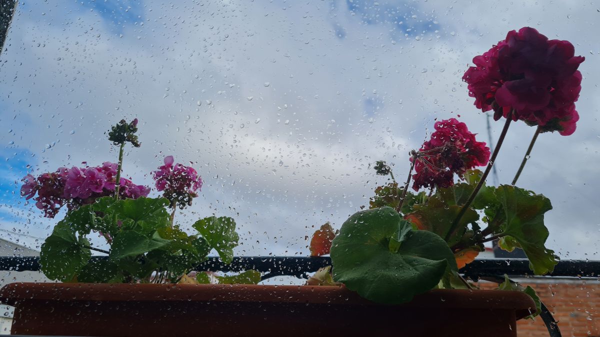 Photographer deliagt, Weather Photos in Madrid - Weawow