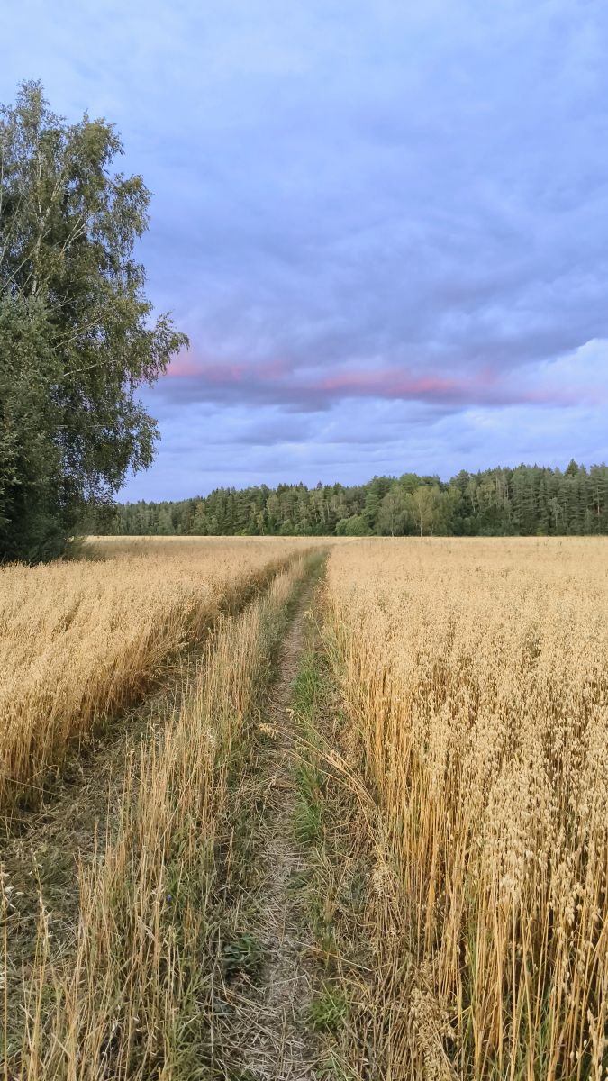 Hình ảnh Thời tiết ở Kaluga Oblast. Dự báo thời tiết với những bức ảnh đẹp của Aleksei