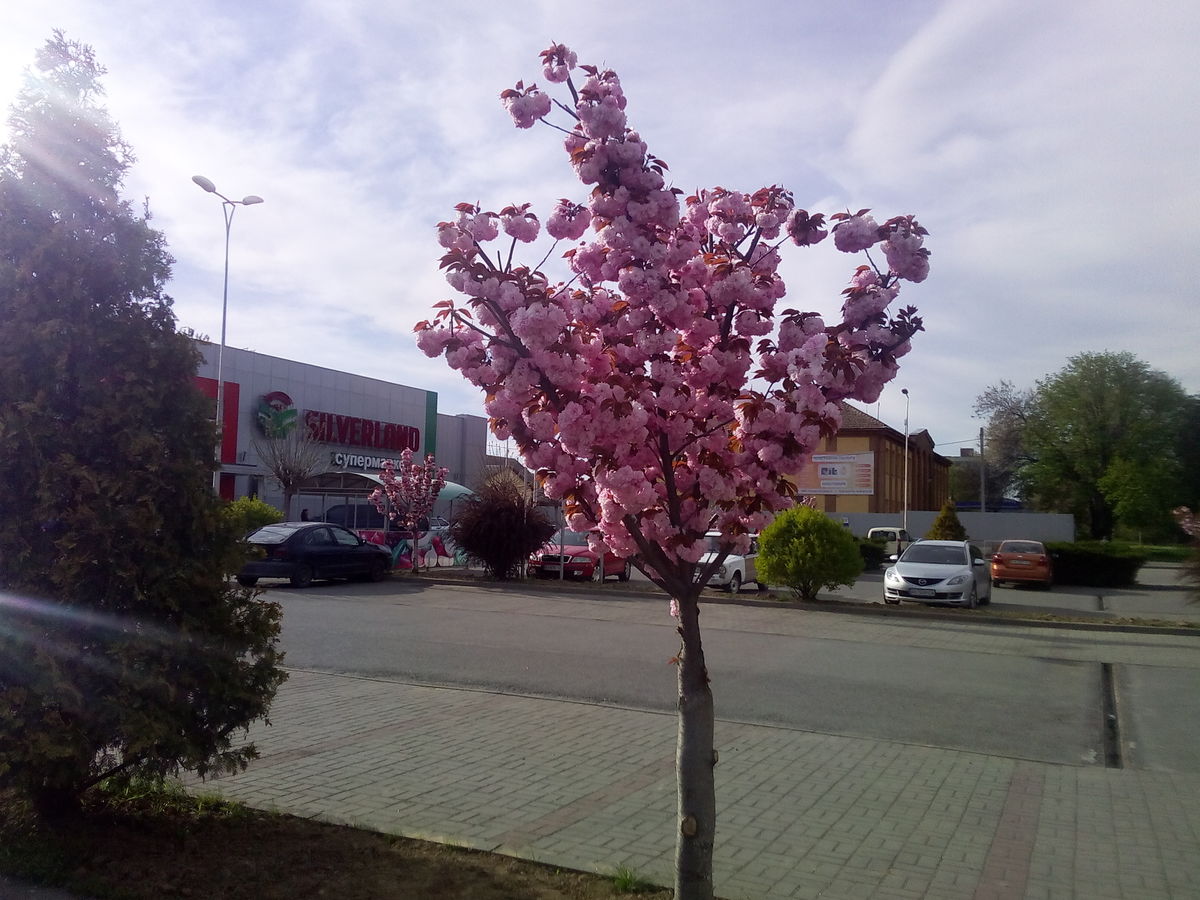 Fotografos Костя Труфанов, Fotos do tempo em Uzhgorod - Weawow