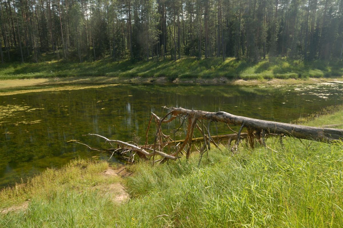Fotos do tempo em Novgorod Oblast. Previsões do tempo com lindas fotos de MadFox2001