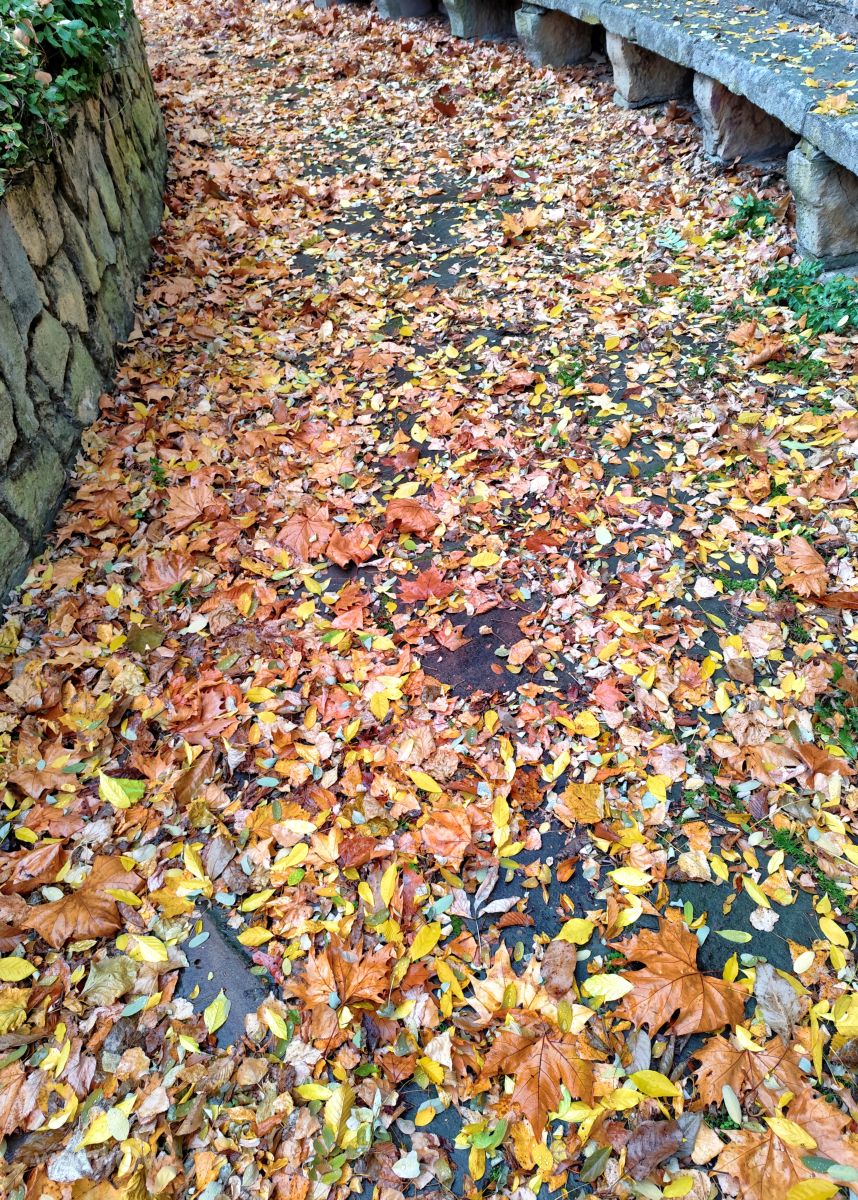 写真家 sloarai、Templomkertの天気写真 - Weawow