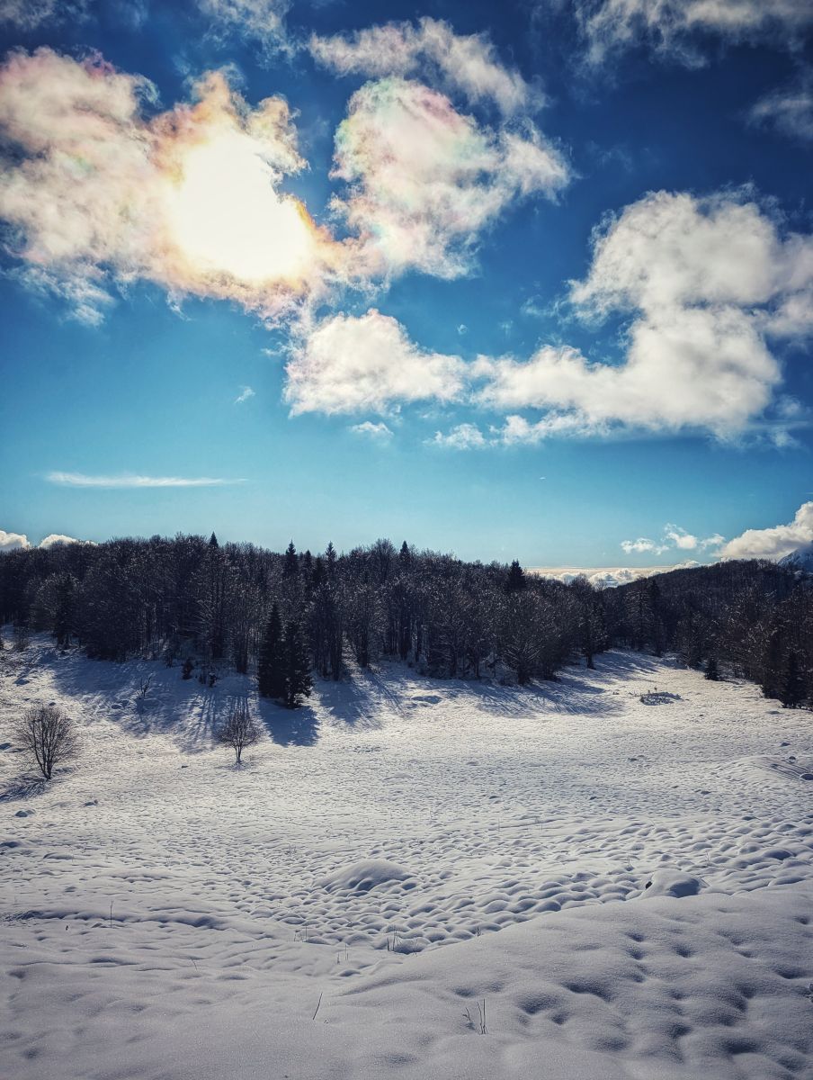 Weather forecasts with beautiful photos by Asarii