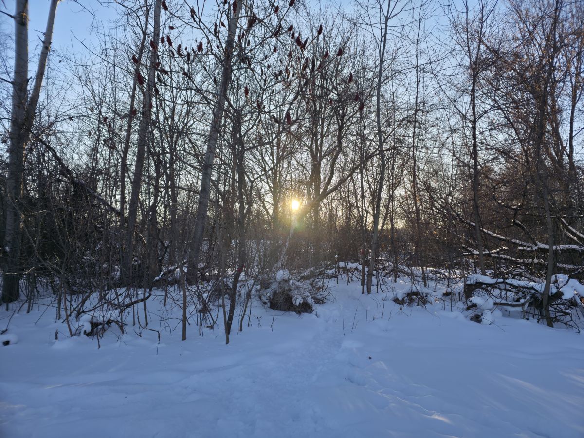 Wetter Photos Ottawa / Rockcliffe Airport. Wettervorhersagen mit schönen Fotos von Derek Davlut