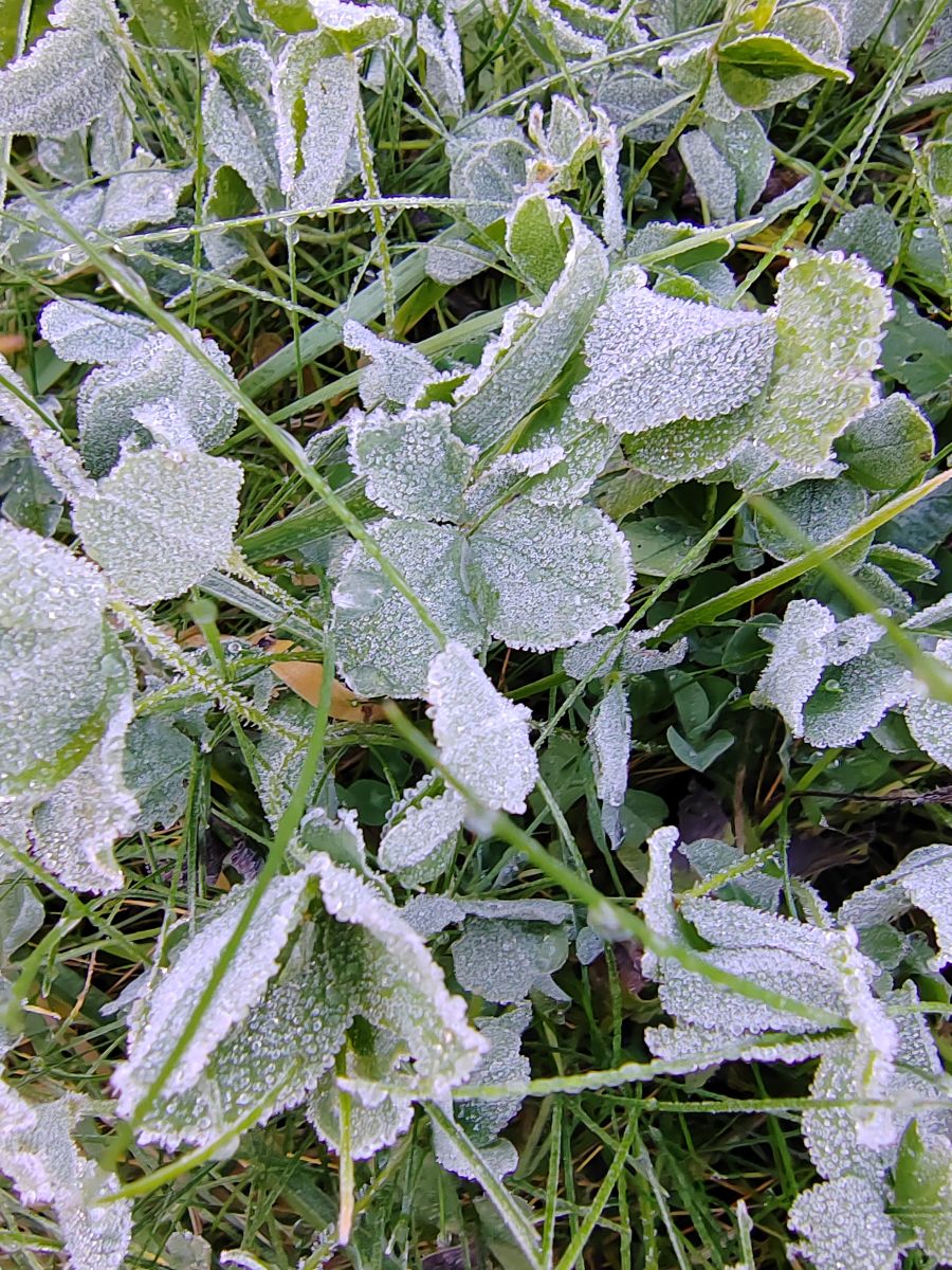 Photographer Albert_Smelovtsev, Weather Photos in Roza Khutor - Weawow