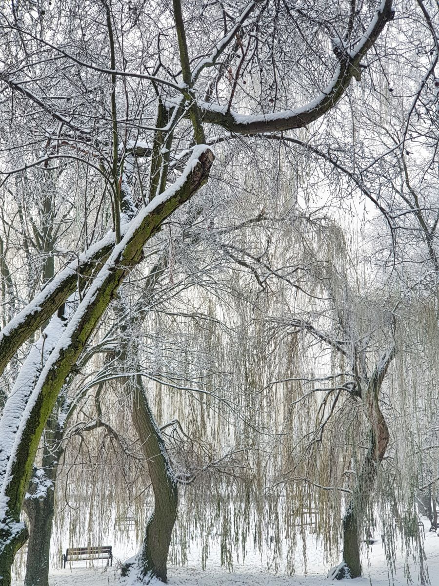 Метеорологические станции санкт-петербург до революции. Пионерский лагерь салют 1985 год. Пионерский лагерь огонек цсу ссср. Погода 1985 года. Кабул старый микрорайон.