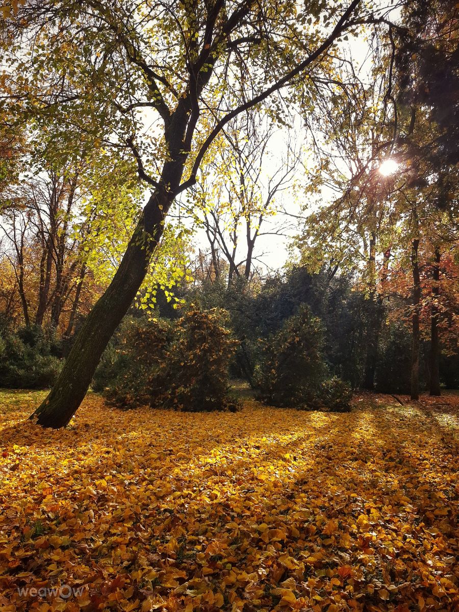 Wettervorhersagen mit schönen Fotos von Aleksandar