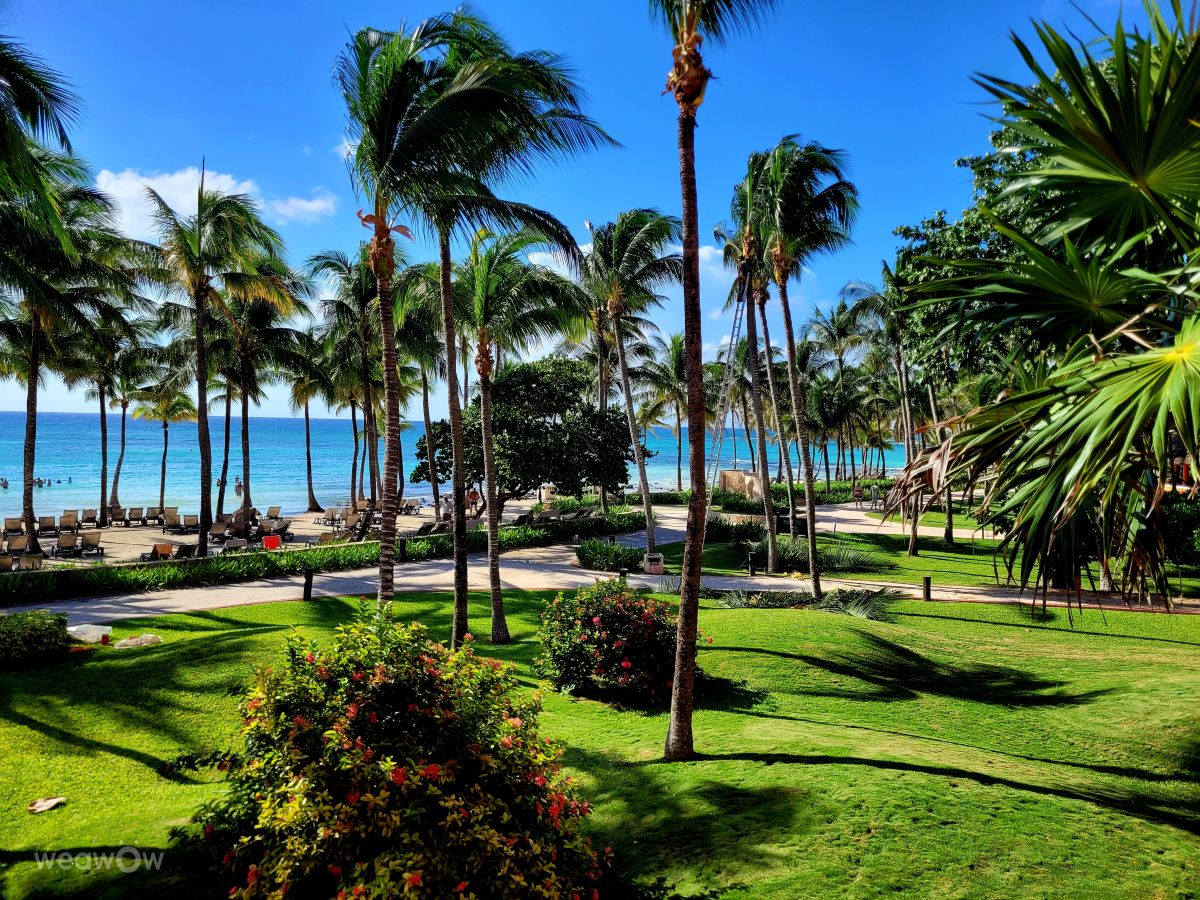 天气预报，带Becon精美的照片