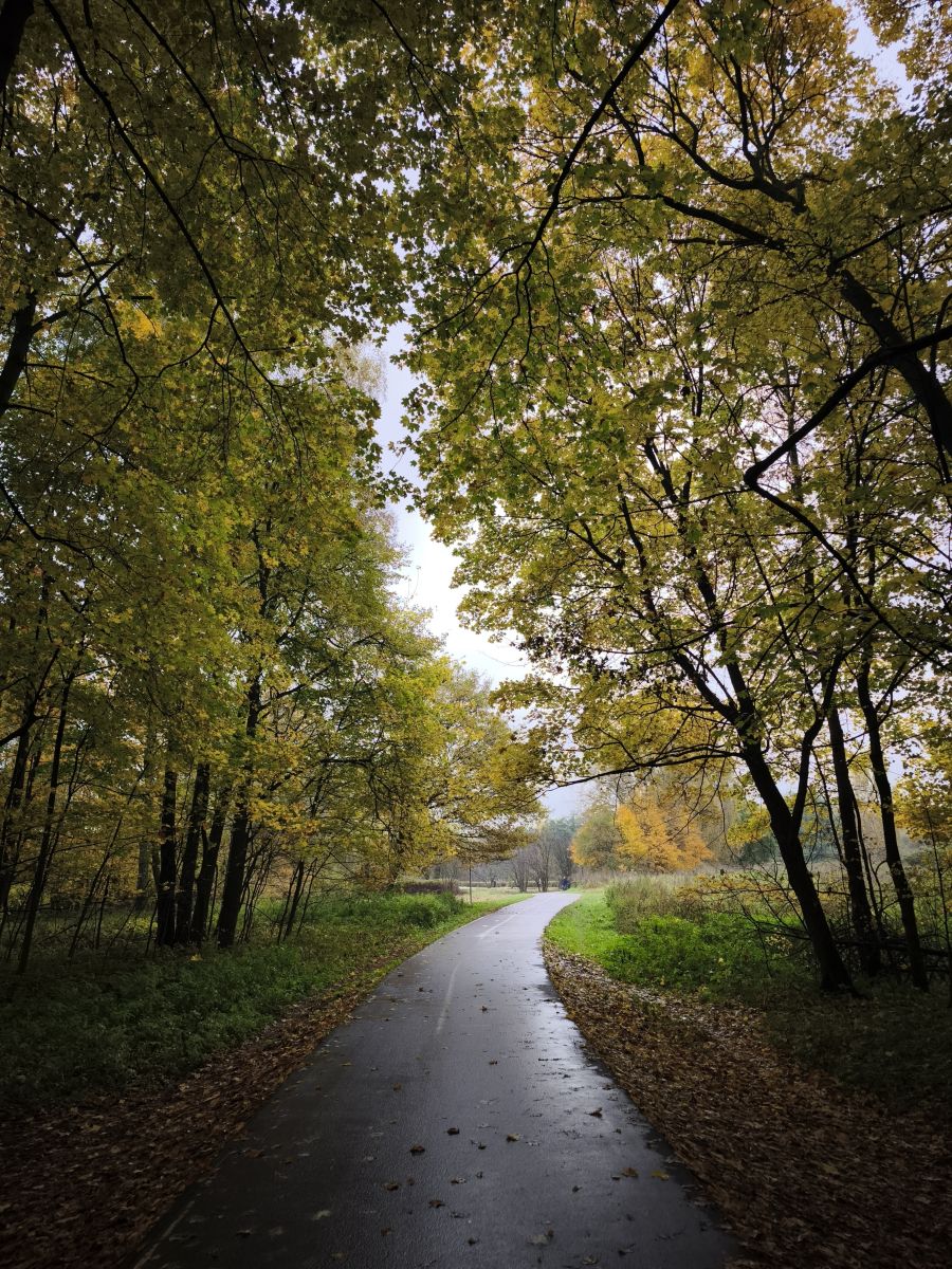 Photographer Amanda_and_Valdemar_Che, Weather Photos in Izmaylovo District - Weawow