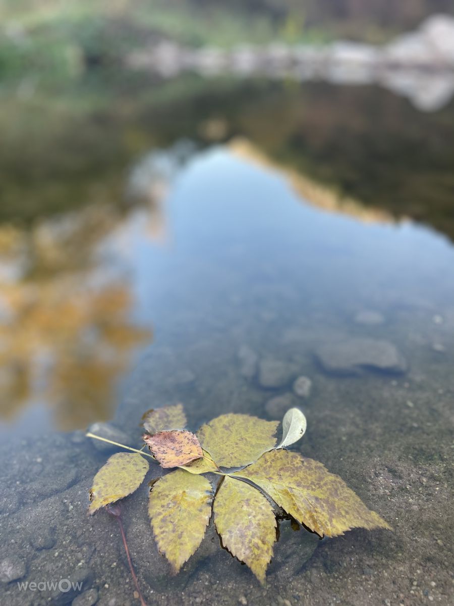 ヴラツァの天気写真. Vaneskaaの美しい写真による天気予報