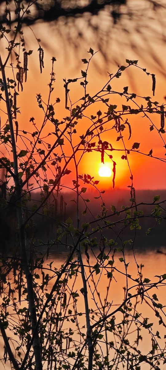 Weather Photos in Novosibirsk. Weather forecasts with beautiful photos by Nevskaya