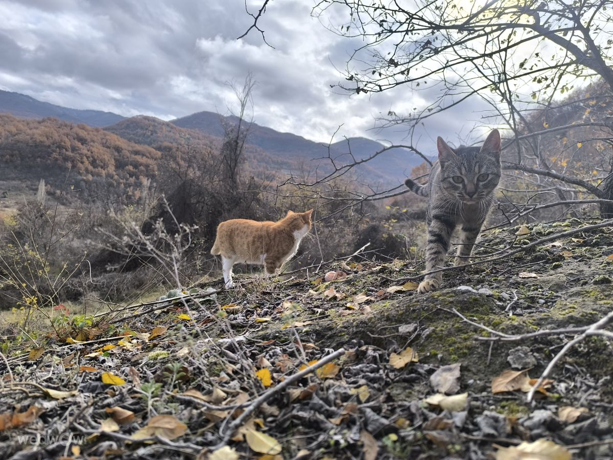 北マケドニアの天気写真. profiler37の美しい写真による天気予報