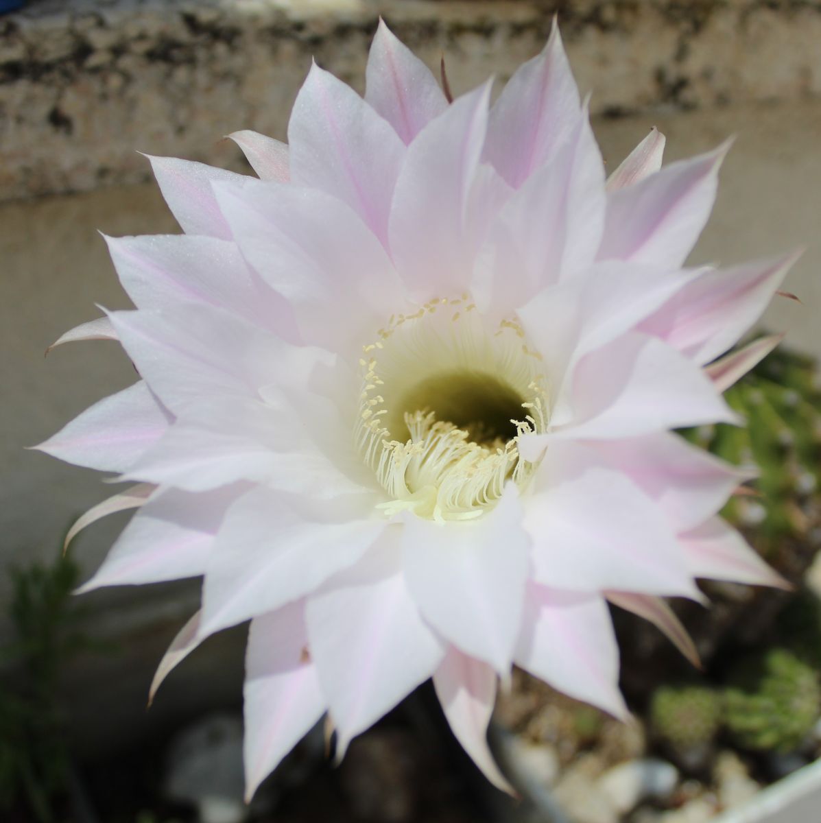 Prévisions météo avec de superbes photos de Sviatoslav