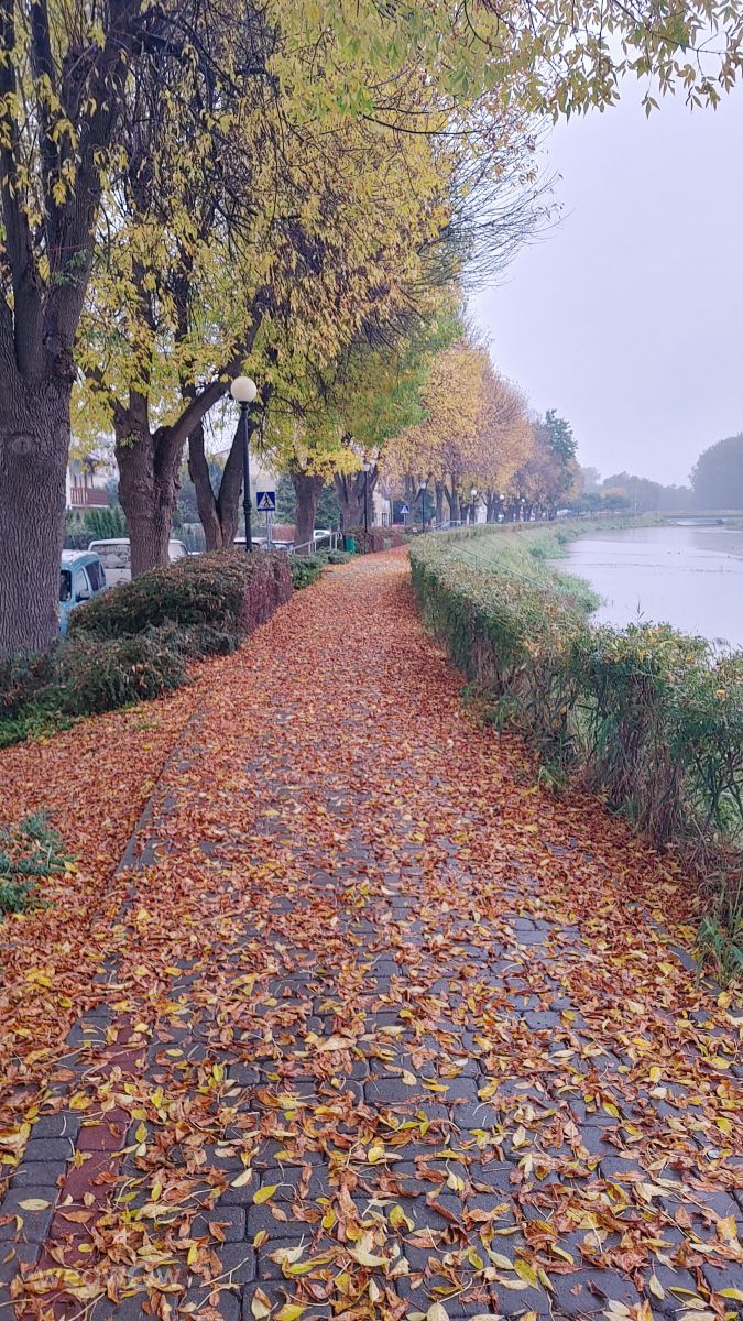 Garwolinの天気写真. Jacek Papiernikの美しい写真による天気予報