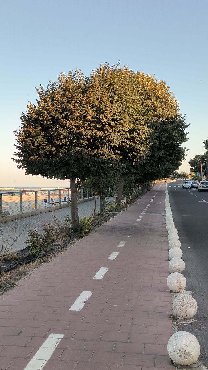 ルーマニアの天気写真. YanBogの美しい写真による天気予報