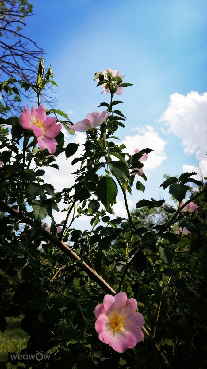 Weather Photos in Luhansk. Weather forecasts with beautiful photos by vltn