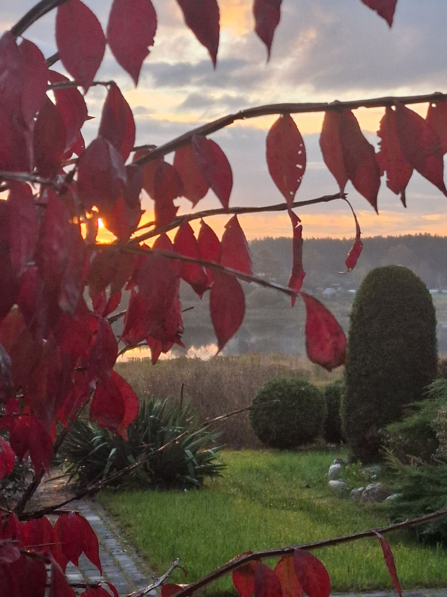 Photos météo à Pskov. Prévisions météo avec de superbes photos de NinaP