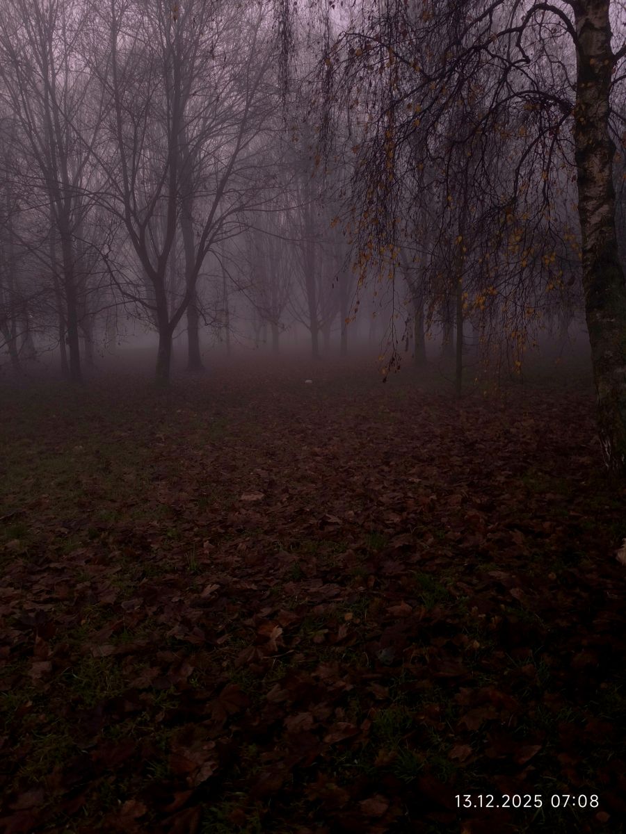 Fotos sobre el clima en Cracovia. Pronósticos del tiempo con hermosas fotos de PaulusSclaveni