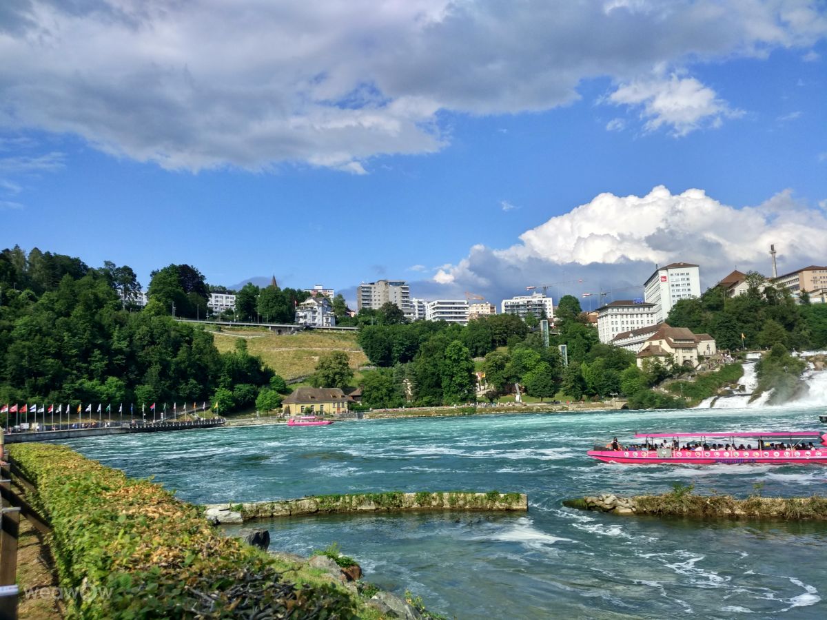Neuhausen am Rheinfall的天气照片. 天气预报，带Normativ精美的照片