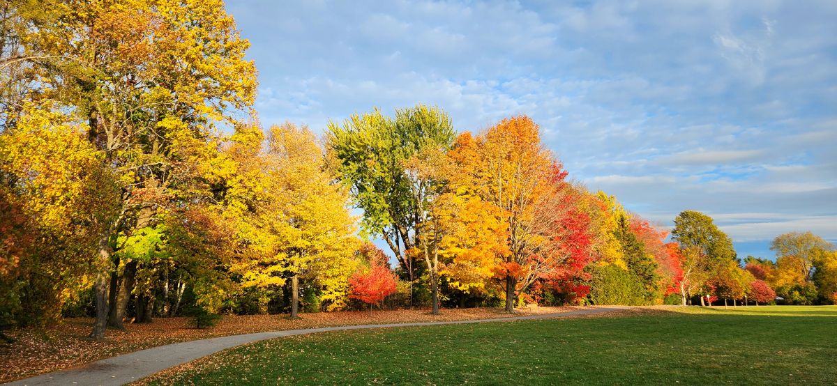 Wetter Photos Kanata Avenue. Wettervorhersagen mit schönen Fotos von KevinG