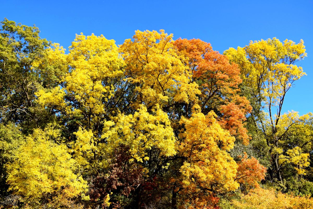 Weather Photos in Arad. Weather forecasts with beautiful photos by ConstantinR