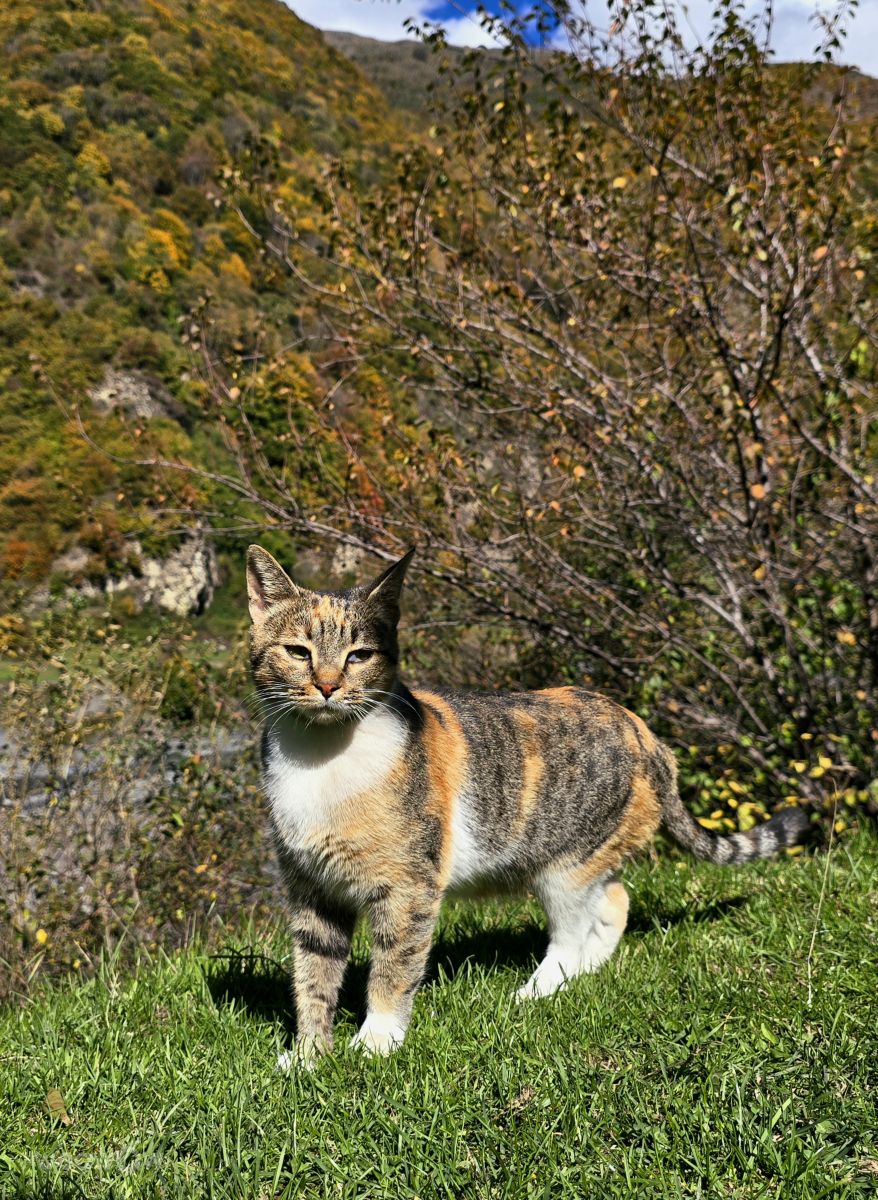 Weather Photos in Azerbaijan. Weather forecasts with beautiful photos by Mila_