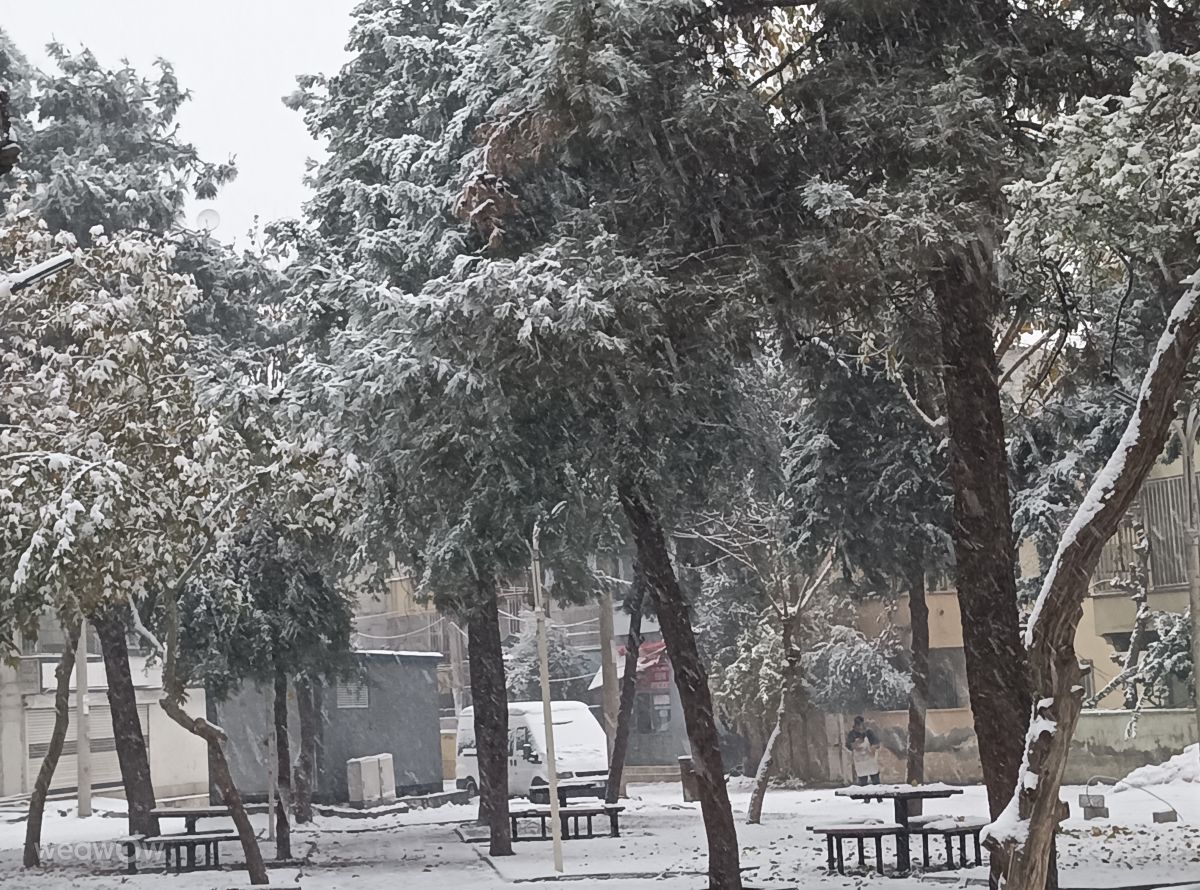 Prévisions météo avec de superbes photos de Mania Wardi