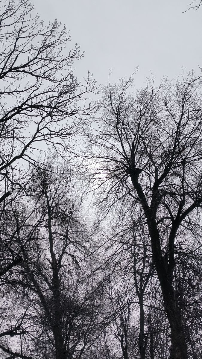 Fotos do tempo em Romênia. Previsões do tempo com lindas fotos de YanBog