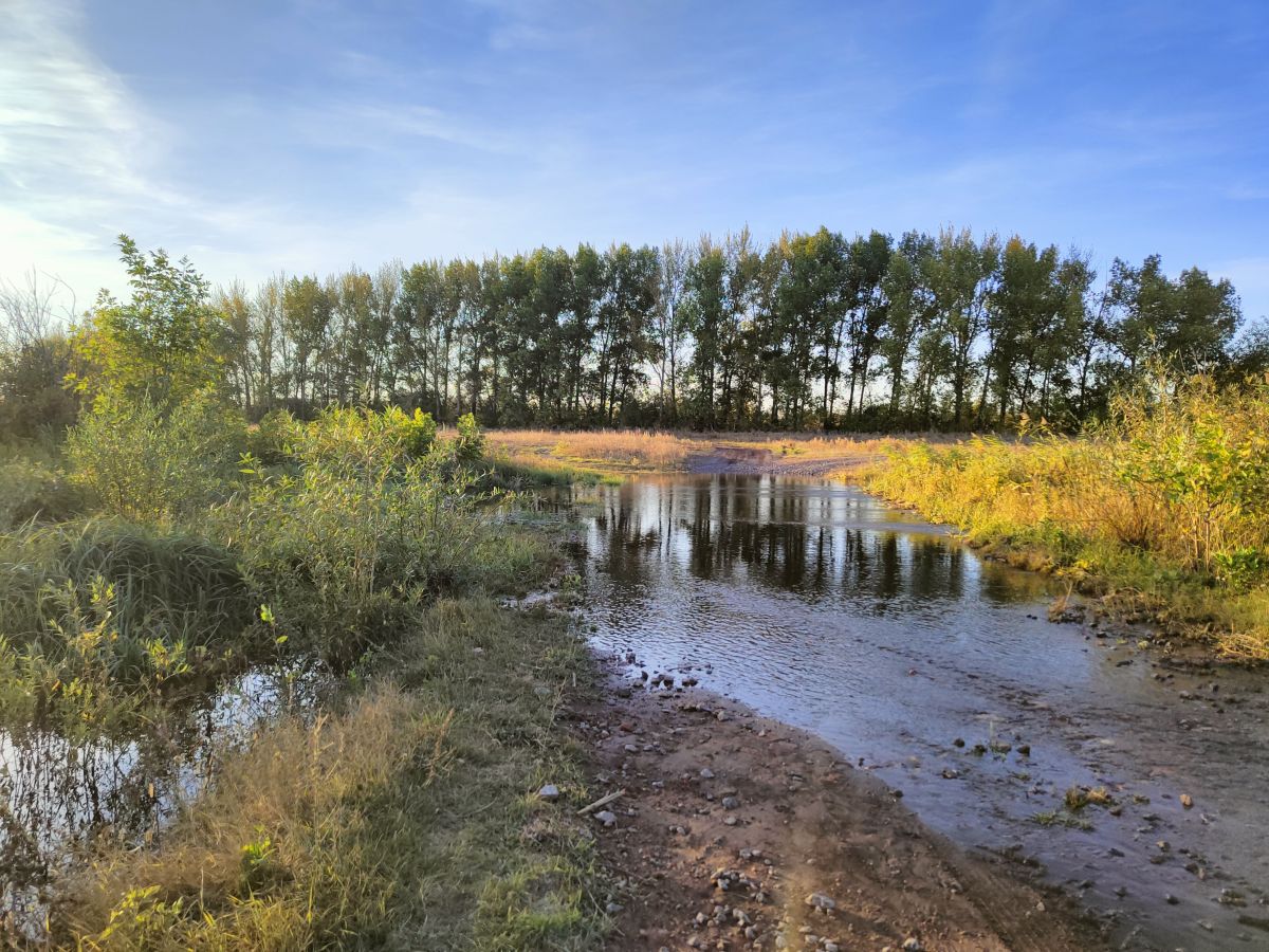 Fotos sobre el clima en Voronezh. Pronósticos del tiempo con hermosas fotos de Анастасия_Лукиных