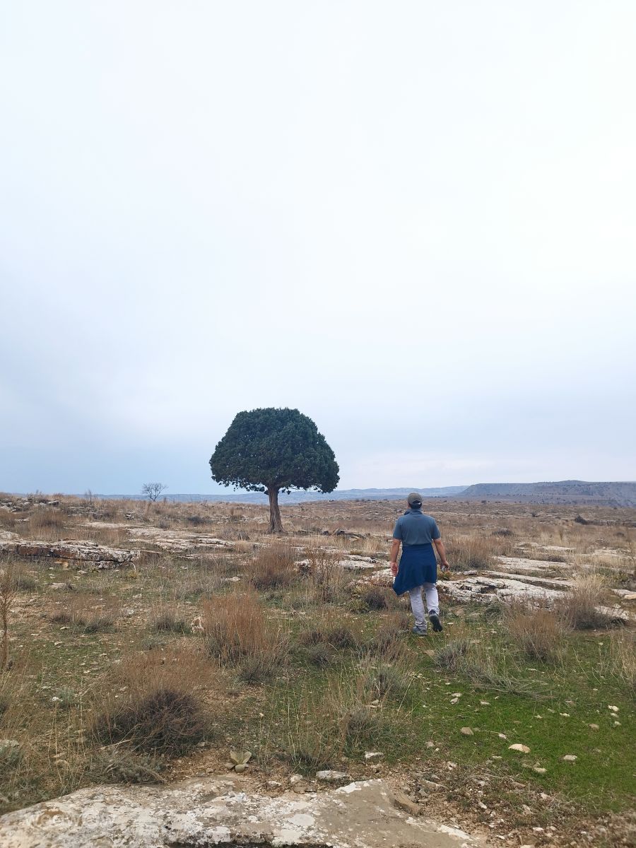 Weather Photos in Turkmenistan. Weather forecasts with beautiful photos by Fathallah Ghodrati
