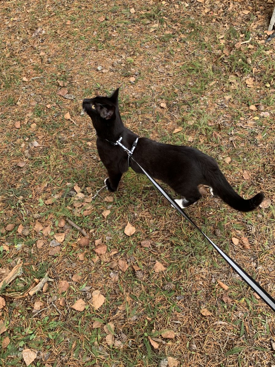 Wetter Photos Finnland. Wettervorhersagen mit schönen Fotos von Irina42