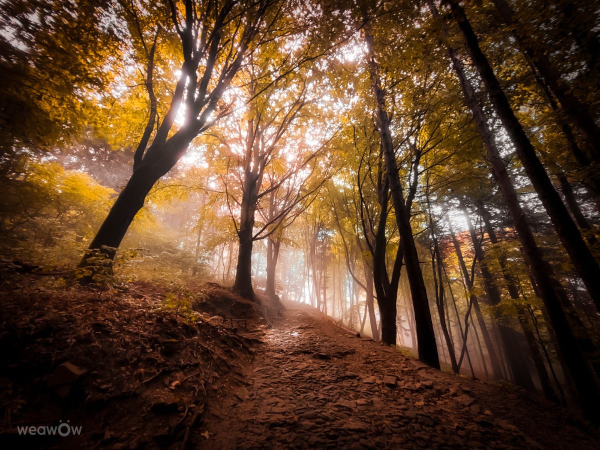 Weather Photos in Krynica-Zdrój. Weather forecasts with beautiful photos by KAMP