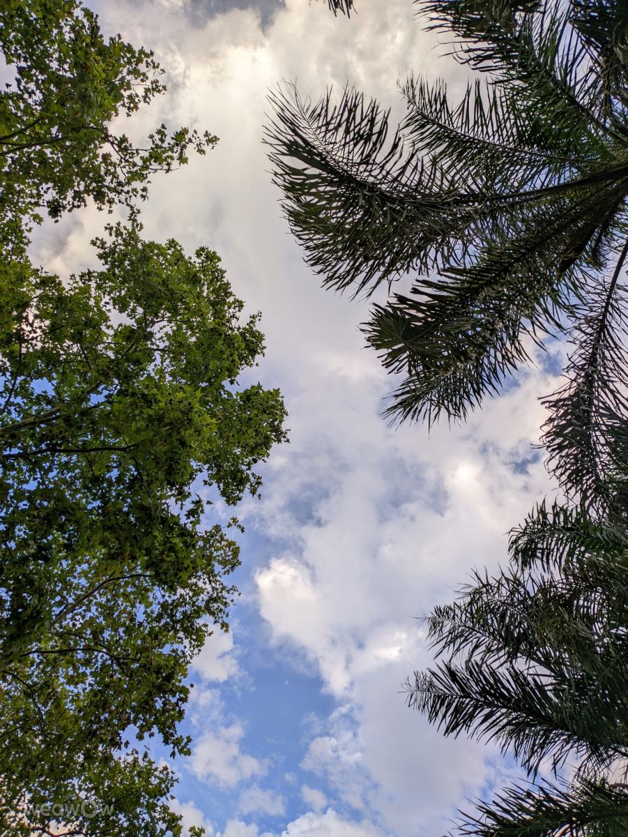 Weather Photos in Campana. Weather forecasts with beautiful photos by fergato