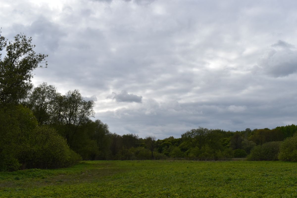 Photographer Amanda_and_Valdemar_Che, Weather Photos in Izmaylovo District - Weawow